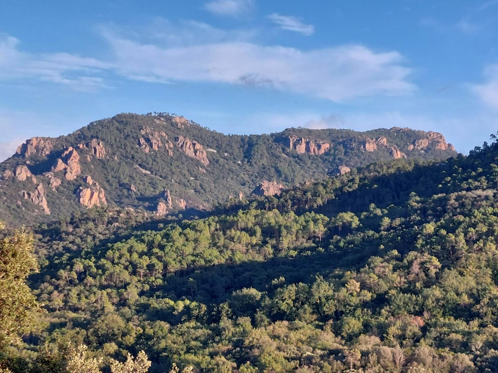 Sawubona Hotel Les Adrets-de-l'Esterel Luaran gambar